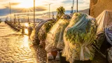 Aemet activa aviso amarillo por tormentas y lluvia en Vigo y varios concellos de Pontevedra