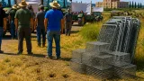 Agricultores alertan de la inacción de la Junta ante la plaga de conejos en Guadalajara
