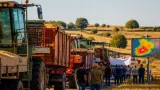 Agricultores anuncian cortes y movilizaciones por los índices que paralizan la cosecha de cereal