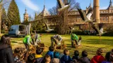 Alcalá de Henares celebra la suelta de 20 cigüeñas recuperadas en la Huerta del Obispo
