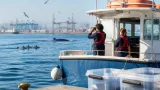 Algeciras refuerza su turismo azul con nueva embarcación de Estrecho Natura