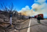 Almería: grave incendio en Los Gallardos deja 11 muertos y decenas desaparecidos