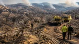 Almería: incendio de Los Gallardos deja 13 muertos y 7.000 hectáreas arrasadas
