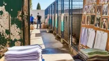 Badajoz afronta incertidumbre en el Centro de Protección Animal tras la salida de la concesionaria