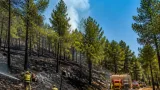 Controlado en horas un incendio en Rute que afectó al pinar del Parque Natural de la Subbética