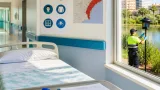 Detectado en Alicante un caso confirmado de virus del Nilo; paciente ya ha recibido el alta