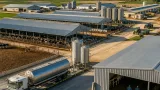 Dieciséis explotaciones concentran casi tres cuartas partes de la leche producida en Lleida