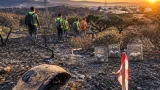El incendio de Los Gallardos arrasa una reserva clave para la tortuga mora y causa graves pérdidas