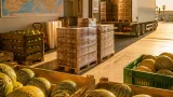 El melón murciano se consolida en Europa: 36 países y más de 155 millones en ventas