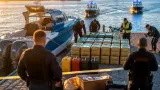 Golpe en la ría: incautados 1.640 kg de hachís en Huelva