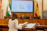 Granada: Vox asegura que el acuerdo con el PP reducirá impuestos y mejorará la sanidad