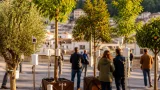 Investigación en Granada identifica los cinco árboles que alivian hasta 3,5 ºC el calor urbano