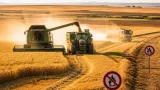 La cosecha de cereal en Albacete mejora, pero el calor reduce rendimiento y complica la siega
