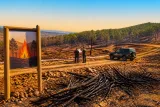 La Guardia Civil investiga en Teruel un incendio en Valdealgorfa por quema de restos de poda