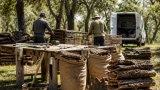 La Junta impulsa la 7.ª Escuela de Descorche para reforzar el aprovechamiento del alcornoque en Hornachuelos
