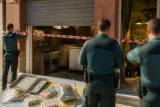 La Policía precinta un local en Granada por malas condiciones, droga y un cultivo de 88 plantas