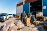 La UCO desmantela en Cuenca una red de tabaco con detenidos y registros en la provincia