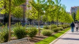 Logroño incorpora 58 árboles y más de 1.300 m² de nueva zona verde en el Paseo del Prior