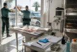 Santa Lucía de Tirajana: investigados dos personas por la muerte de un perro tras administrarle ibuprofeno