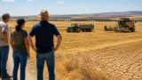 Segovia afronta una caída del 45% en la producción de cereal y riesgo de abandono del cultivo