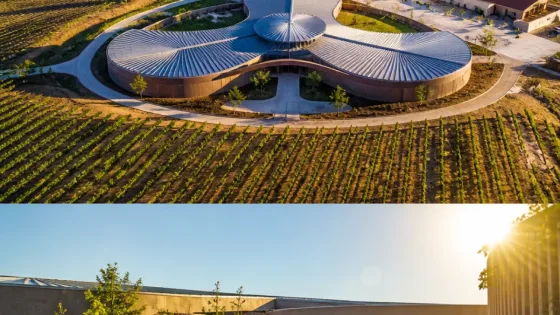 Burgos y la bodega de Norman Foster: la arquitectura que ordena la producción vitivinícola