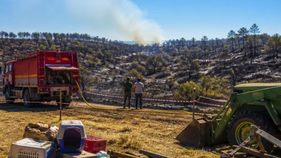 Incendio en Hinojosas reduce a Nivel 0 tras quemar 800 hectáreas en Ciudad Real