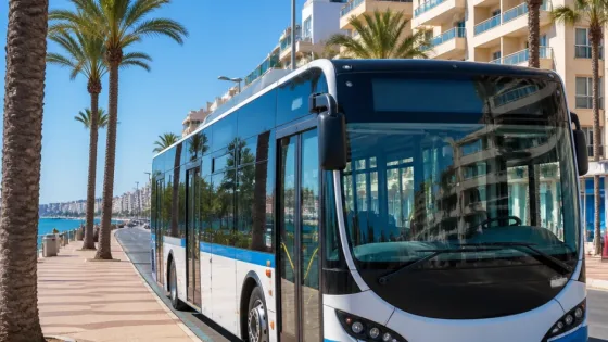 Torrevieja estrena este verano una red urbana de autobuses con ocho líneas