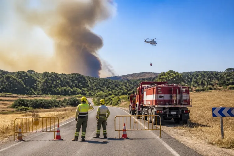 Corte de la GU-199 por un incendio en Robledillo de Mohernando, que pasa a nivel 1