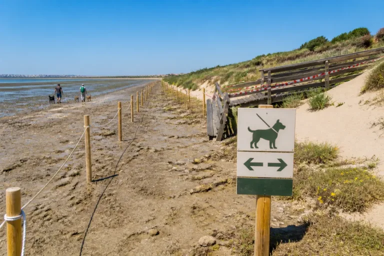 Acceso provisional a la playa canina de San Fernando por la Punta del Boquerón