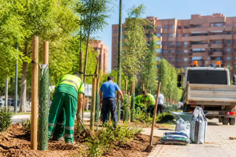 Alcorcón supera los 8.500 nuevos árboles plantados en la legislatura