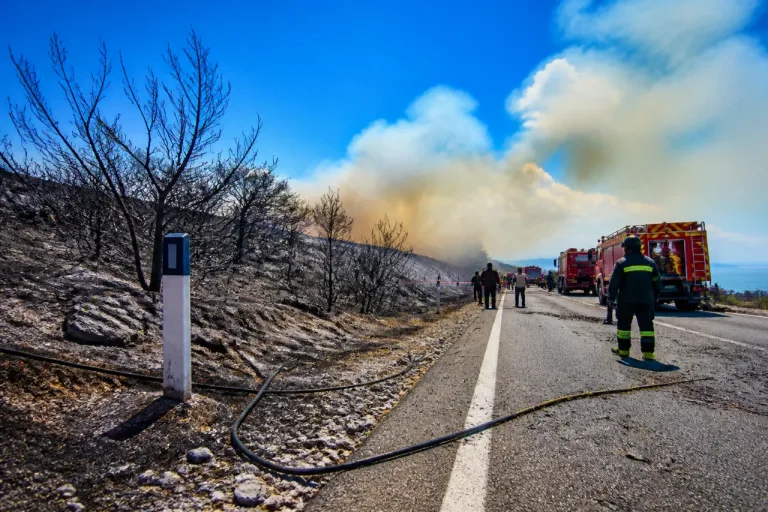 Almería: grave incendio en Los Gallardos deja 11 muertos y decenas desaparecidos