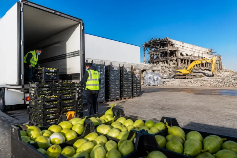 Arcofrut traslada la campaña de peras a una nave del polígono del Segre en Lleida