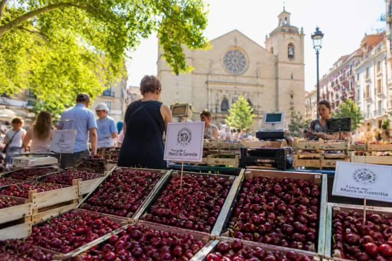 Bilbao acogerá más de 10.000 kilos de cerezas del Valle de Caderechas en El Arenal
