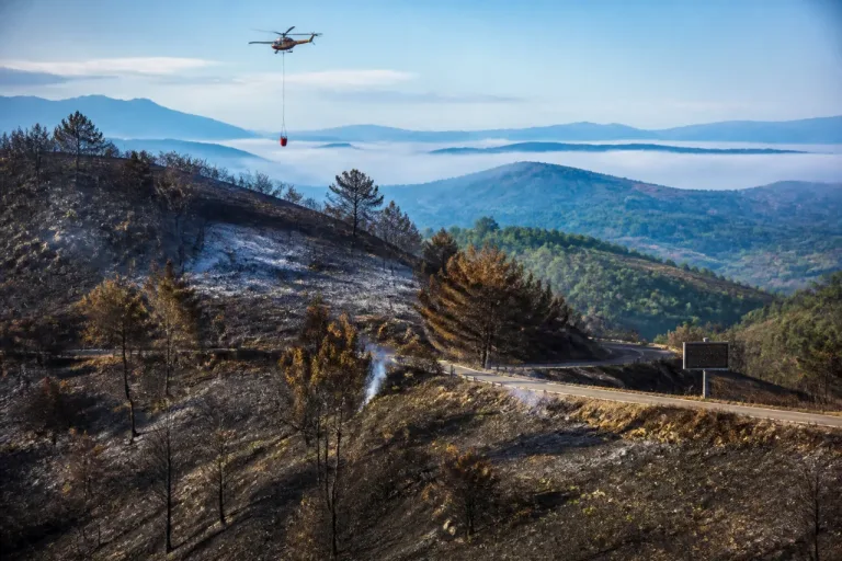 Cantabria lidera en 2026 la superficie arrasada por incendios, con 15.500 hectáreas