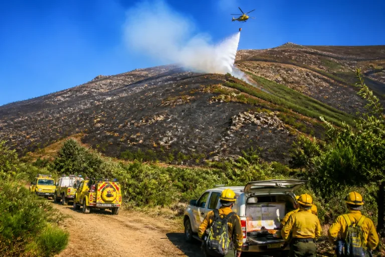 Controlado el incendio de Bocígano tras más de 24 horas de labores con 48 efectivos