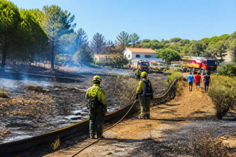 Controlado el incendio de Grazalema: infoca confirma perímetro y labores de remate en Cádiz