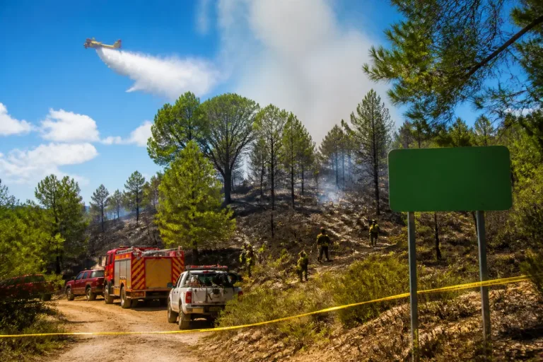 Controlado un incendio en Moratalla que afectó a cerca de 6.000 m² tras intervención conjunta
