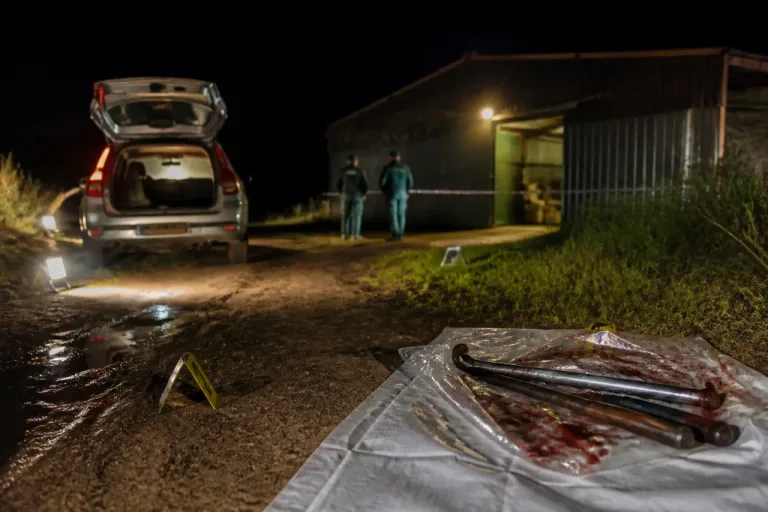 Detenidos tres vecinos de Navalvillar de Pela por robar un coche y asaltar una quesería