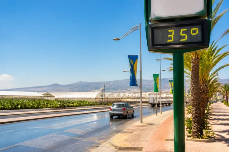 El Ejido afronta semana de calor estable con máximas alrededor de 34–36 ºC