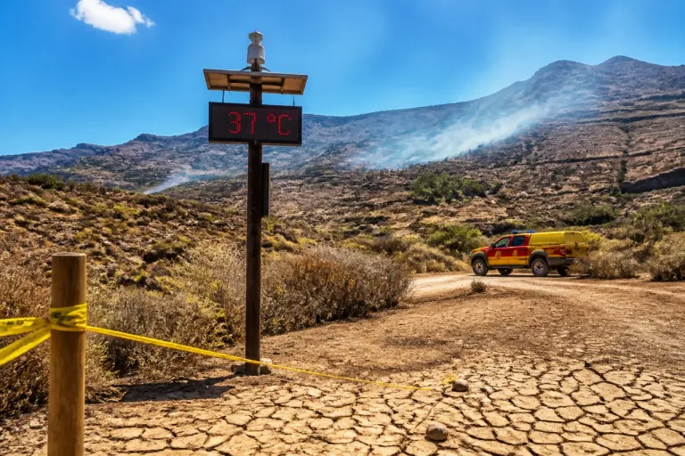 Canarias en alerta por ola de calor: máximas de hasta 37 °C y riesgo de incendios