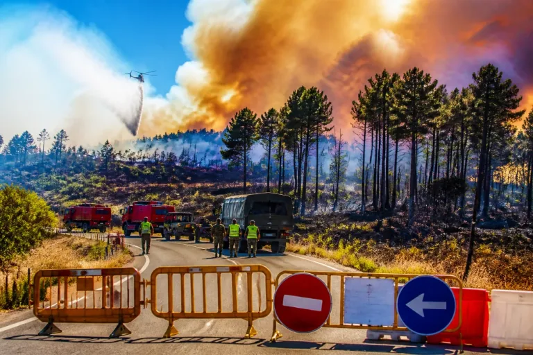 Girona: incendio en La Bisbal queda controlado tras quemar 2.200 hectáreas