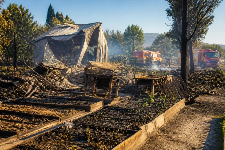 Incendio arrasa el huerto urbano de Cazalla y deja sin recursos a 25 familias de Lorca