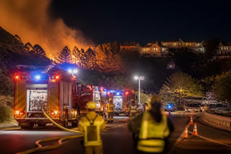 Incendio en Grazalema: evolución favorable pero permanece el cierre de la A-372 en Cádiz