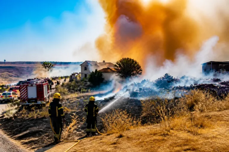 Incendio en Pino Solete moviliza a Bomberos en Jerez de la Frontera