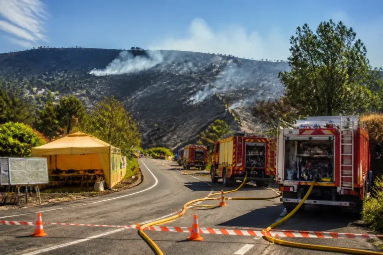Incendio entre Robledillo y Malaguilla en Guadalajara queda extinguido tras días de trabajo