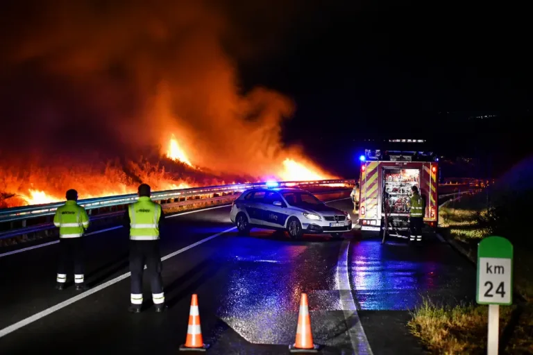 Incendio nocturno en la A-381 obliga a cortar el tráfico hacia Jerez en Cádiz