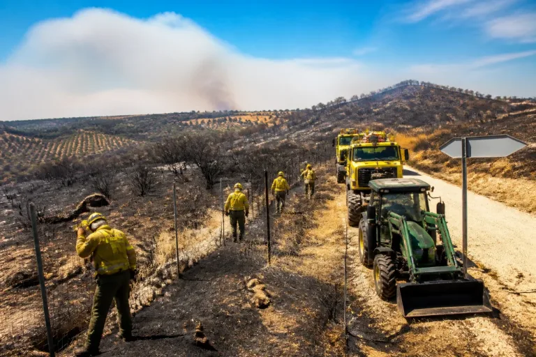 INFOEX registra 16 incendios en Badajoz en una semana con 270 hectáreas afectadas