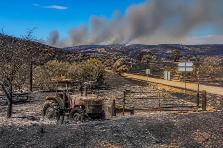 La Junta declara desastre natural por el incendio del 8 de junio que arrasó 6.310 hectáreas