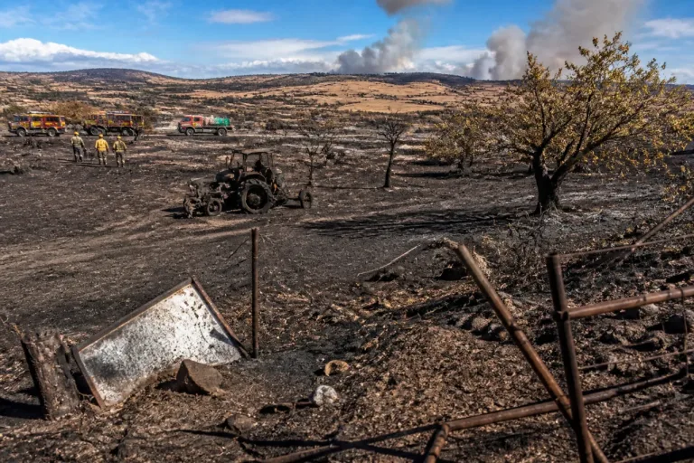 La Junta declara desastre natural por el incendio que arrasó 6.310 hectáreas en Huelva