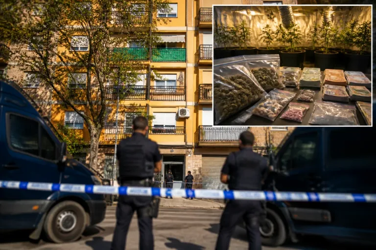 La Policía desarticula en Valencia una red que distribuía marihuana, 'tusi' y otras drogas: 12 detenidos